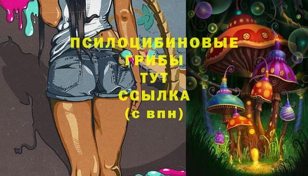 круглые Алзамай