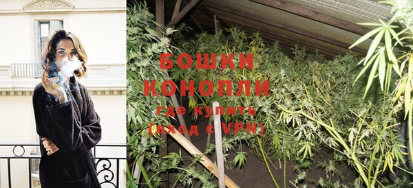 PSILOCYBIN Алексеевка