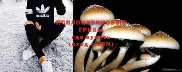 круглые Алзамай