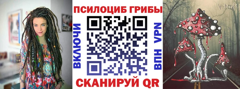 Псилоцибиновые грибы Psilocybe  Кореновск 
